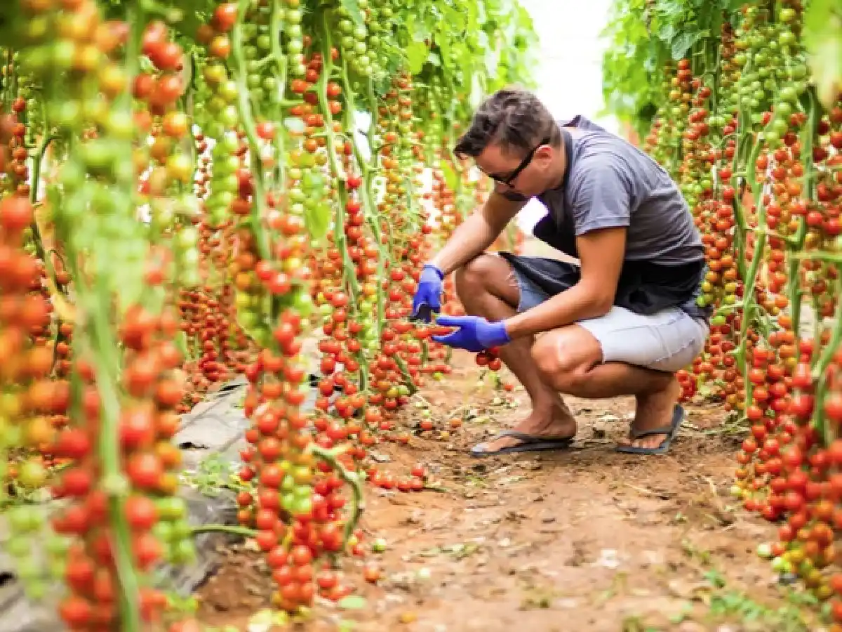 La competitividad de las economías regionales cayó un 3,4% en 2018