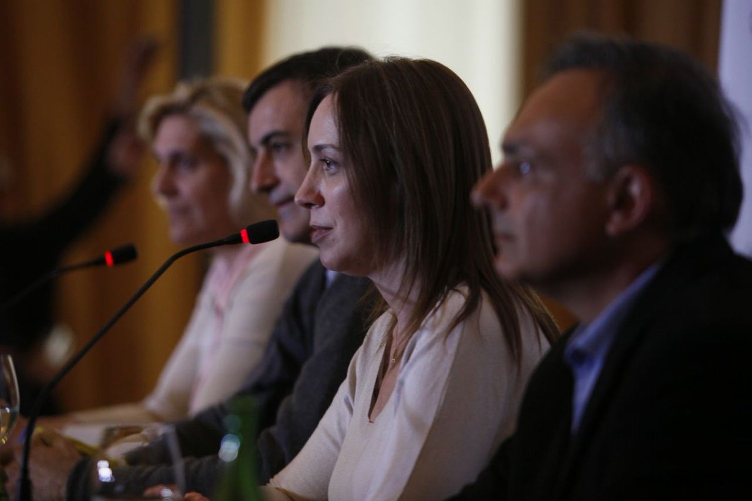 Vidal: "En las próximas elecciones se define nuestro futuro"