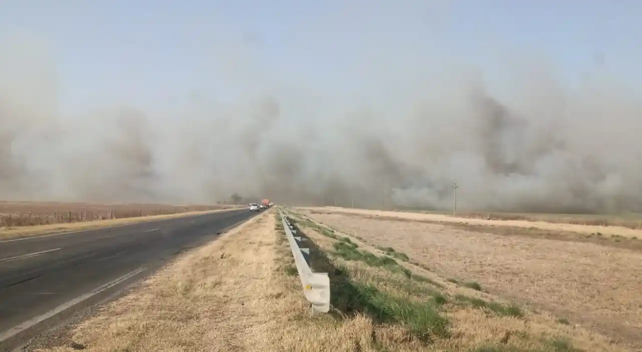 Visibilidad nula sobre ruta 33: se incendia el mismo campo por tercera vez en menos de un mes