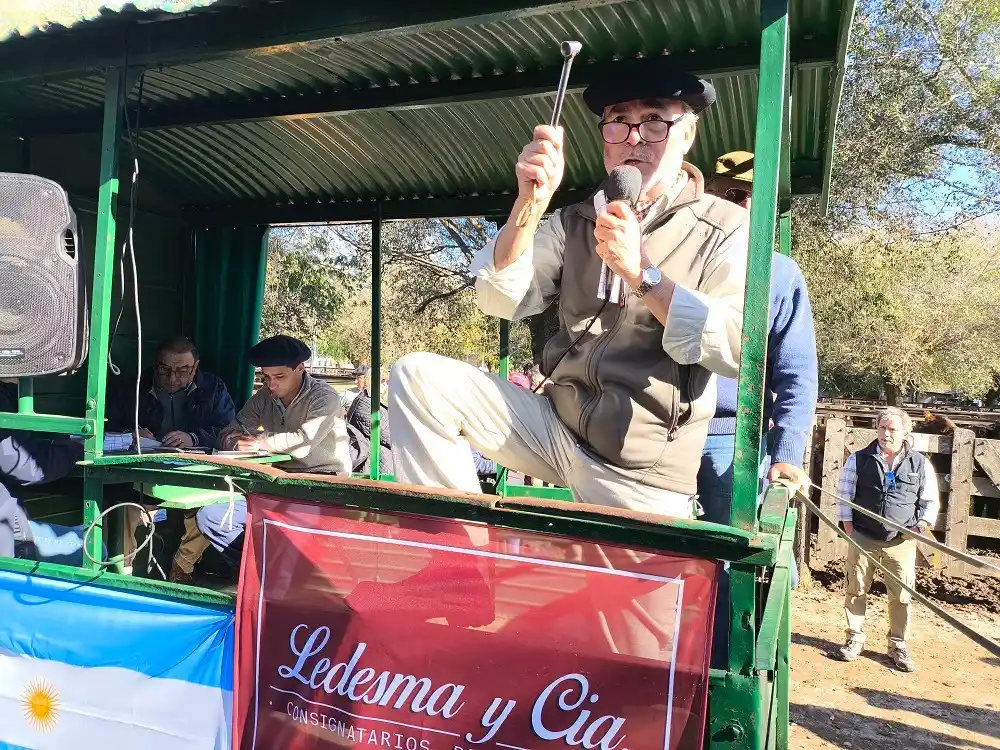 Luis Ledesma, en plena tarea.