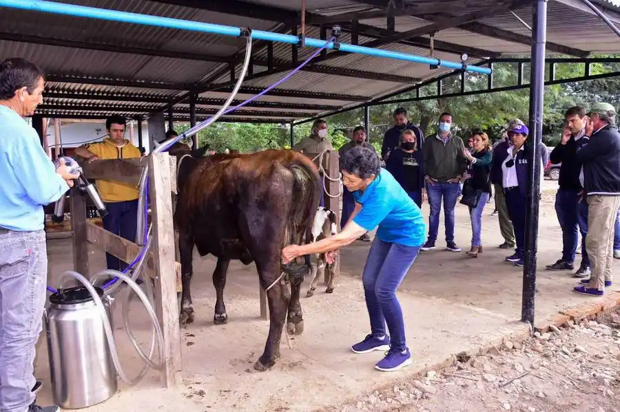 Formosa fortalece la producción lechera con 
el trabajo conjunto de paipperos y Gobierno