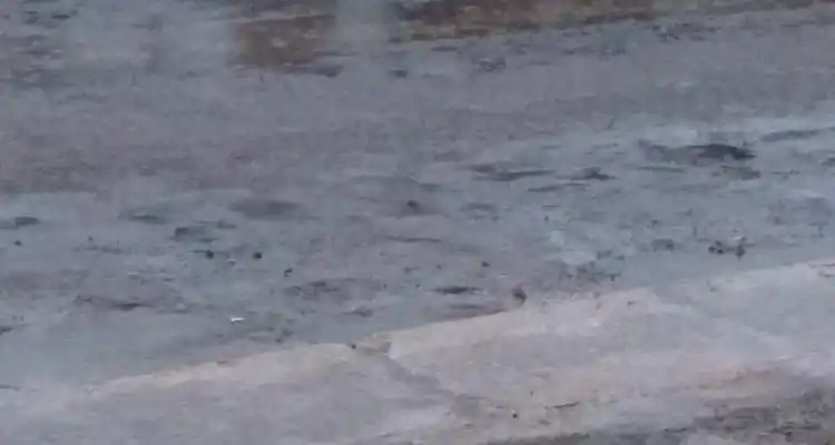Alerta meteorológico por “tormentas fuertes”