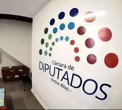 Ley Felipe: Diputados le dio media sanción