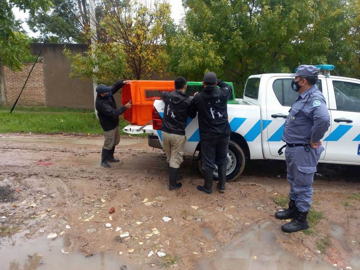 Un hombre atacado por perros junto a su
nieta, murió tras dos semanas en terapia