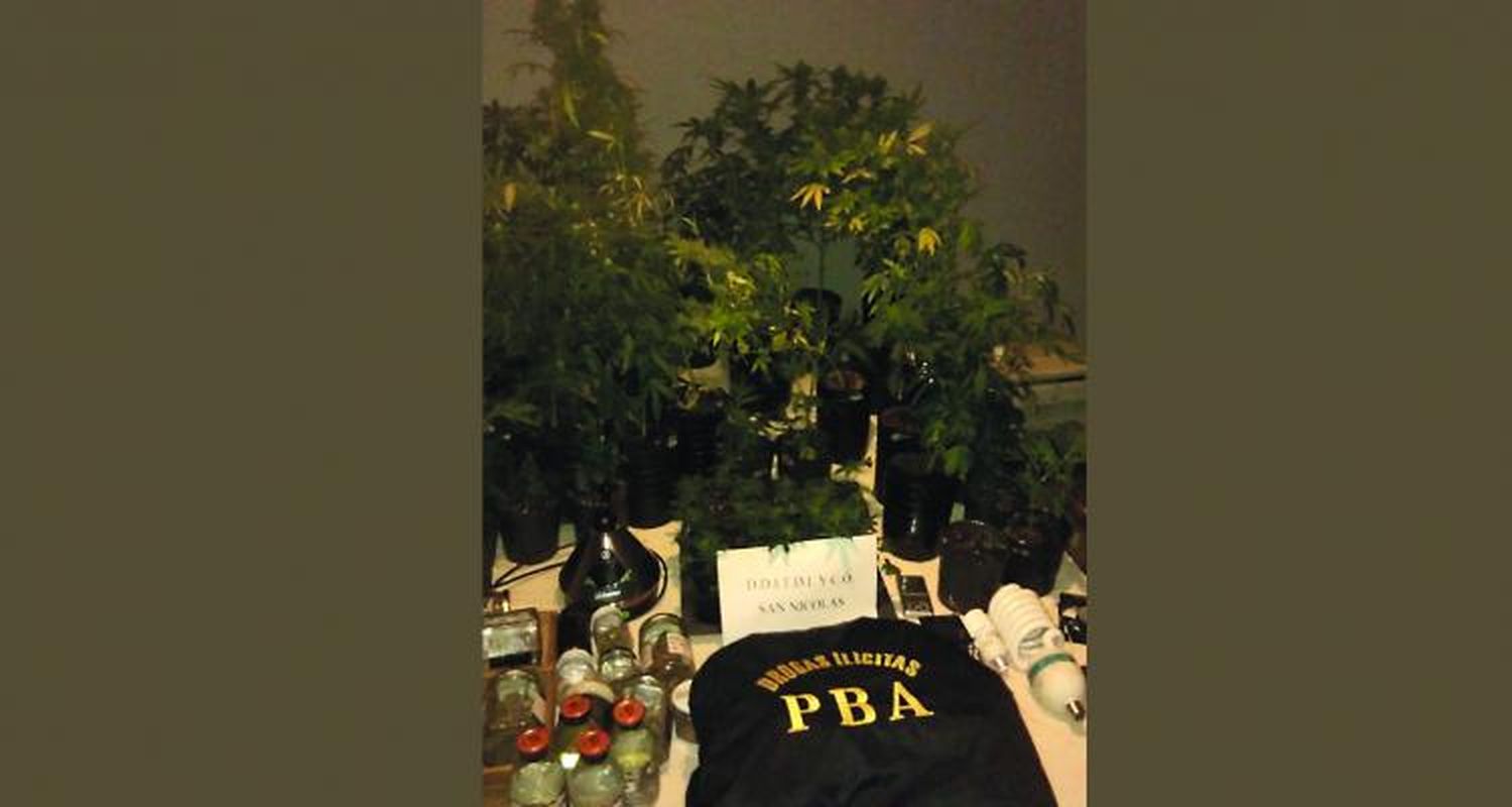 Policías sampedrinos investigaron a la banda que organizaba fiestas electrónicas para vender drogas