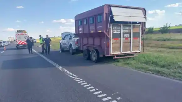 Dos rosarinos murieron tras ser atropellados por un micro de larga distancia en la autopista Rosario-Buenos Aires