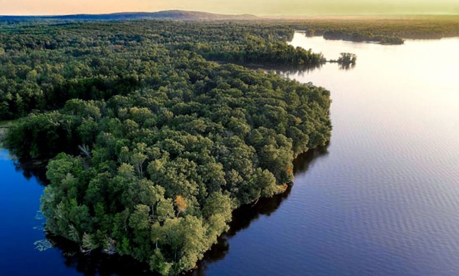 La deforestación de la Amazonía brasileña cae casi 34%  en el primer semestre del año