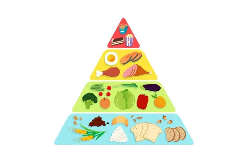 Nueva pirámide nutricional