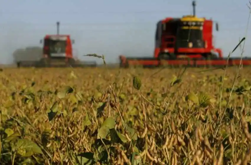 Aumento de las retenciones a la soja: desde la Federación Agraria mostraron su malestar