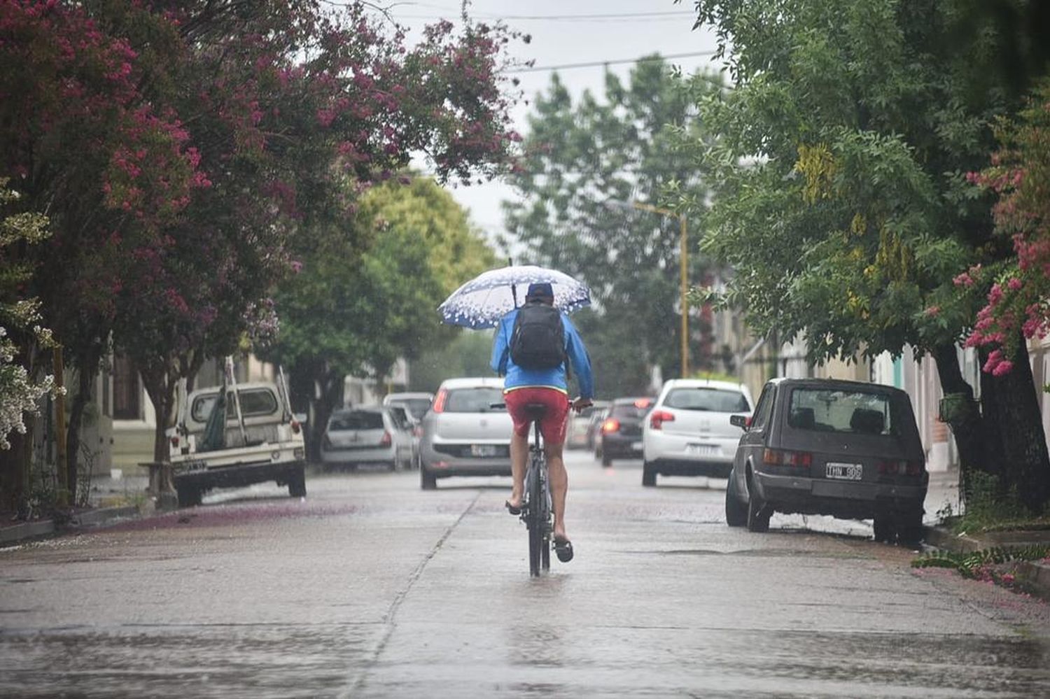 Alerta por tormentas para varias provincias: cuándo llegarían a Entre Ríos