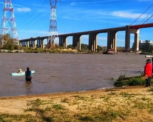 La Brigada K9 participó en una evaluación internacional