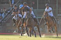 La Dolfina y La Hache son los finalistas