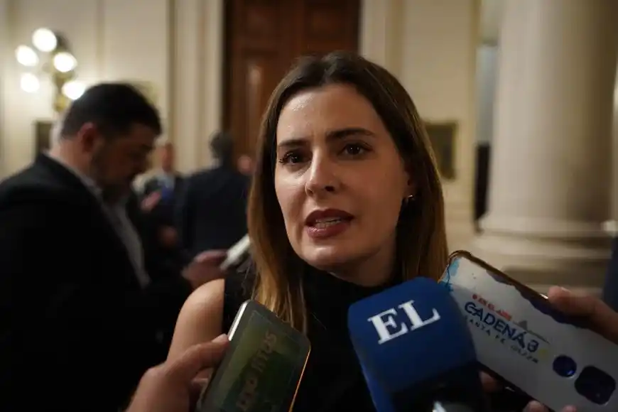 Autonomía Municipal