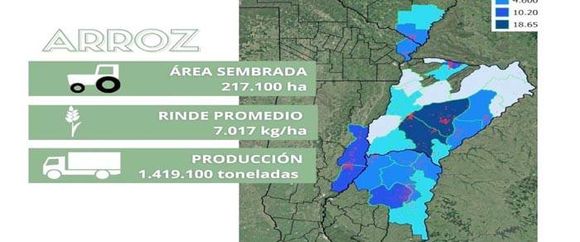 En Entre Ríos se obtuvieron  rindes récord de arroz