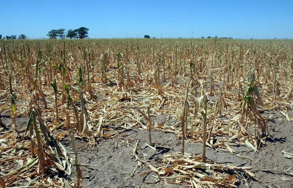 Kicillof declaró la emergencia agropecuaria para el distrito