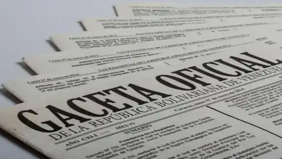 EN VIGENCIA ley que CONTROLA las ONG: lo que hay que saber de la norma (+Gaceta)