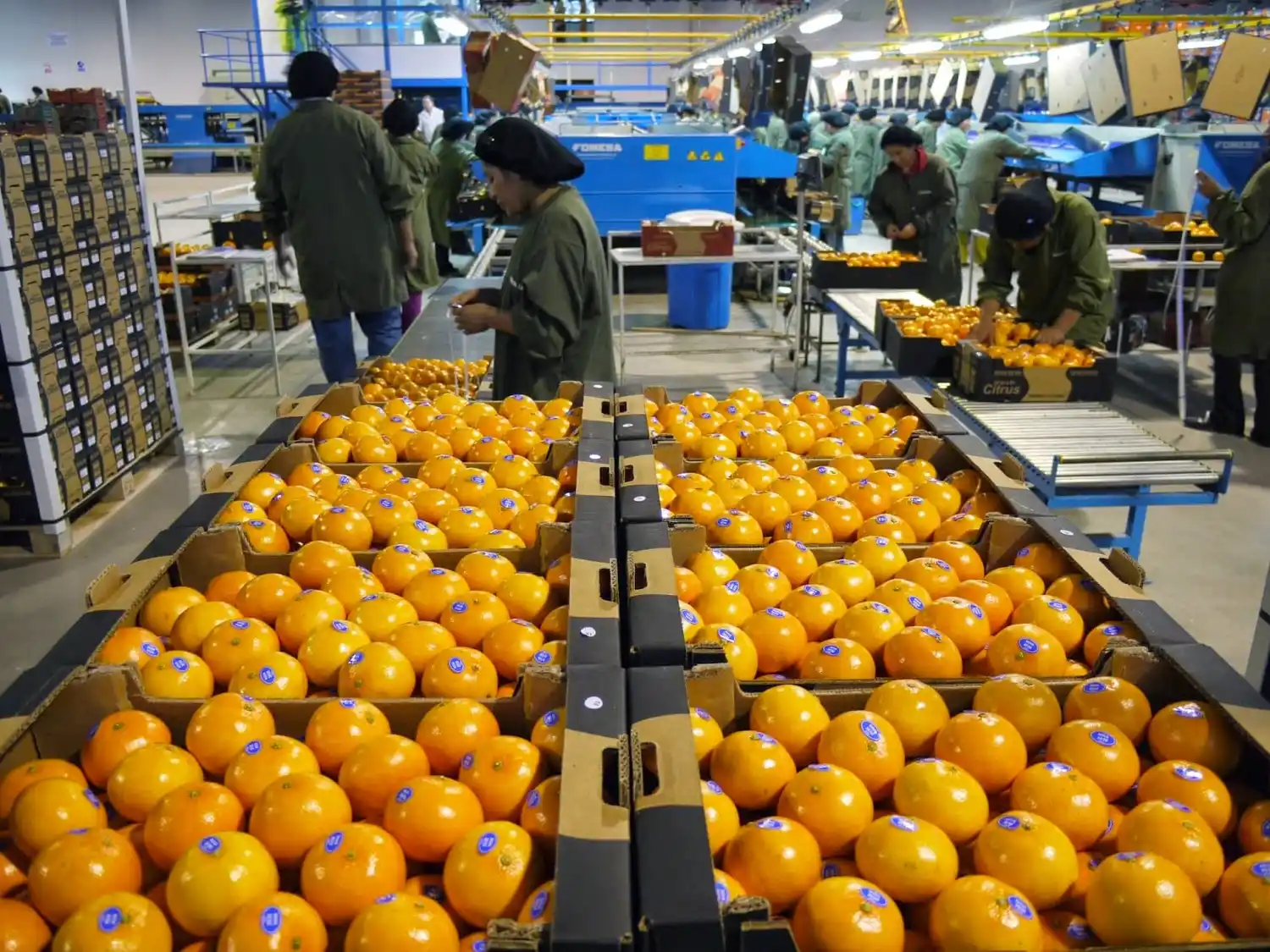 Cresto mantuvo encuentros con privados y dirigentes para generar fuentes de empleo en Concordia