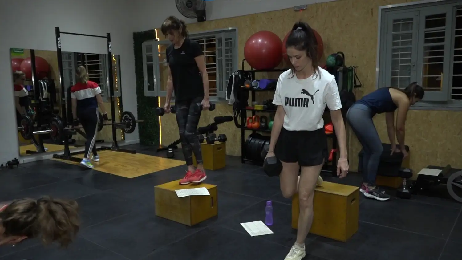 GIMNASIO TERRA