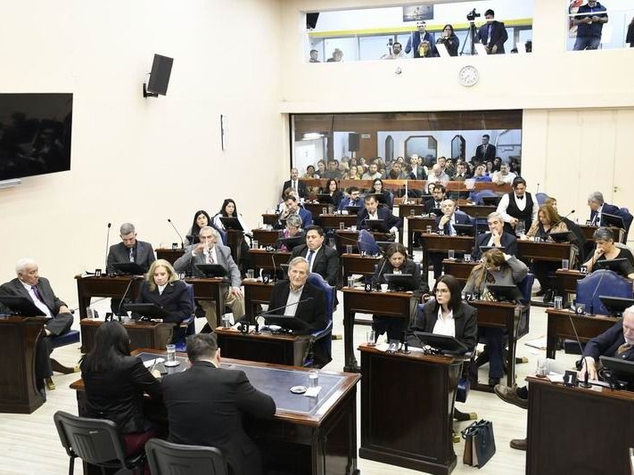 La convención constituyente de 
Formosa aprobó causas estratégicas