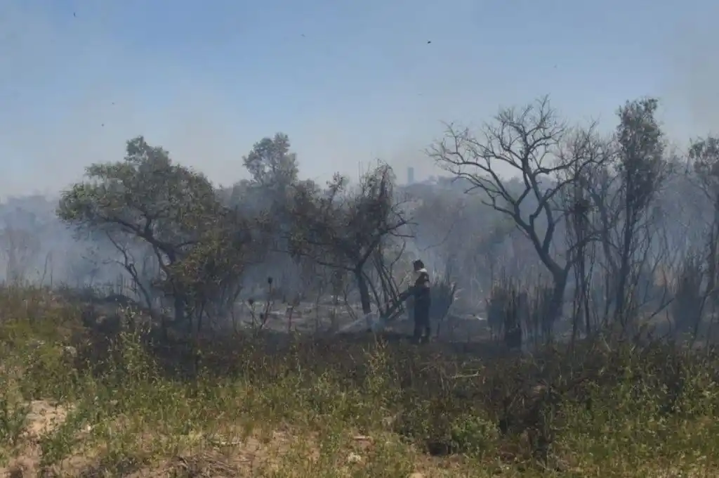 Un incendio se produjo en un sector de la ruta 168, cercano a un hipermercado