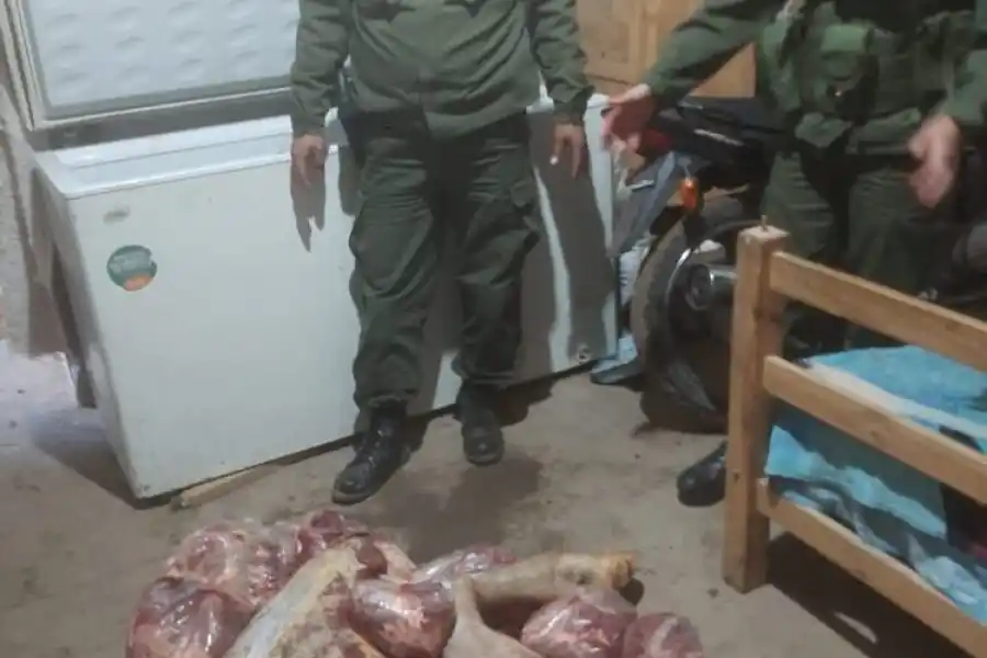 Una tambera denunció que se encontró un animal faenado en el campo: terminó siendo la principal sospechosa