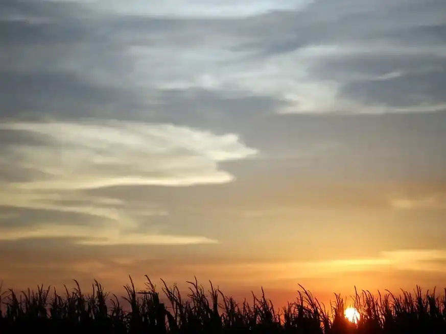 Es probable que en el mes de diciembre, como suele pasar, haya algún período sin agua por algún centro de alta presión o mecanismos regionales. Crédito: Reuters/Marcos Brindicci/File Photo