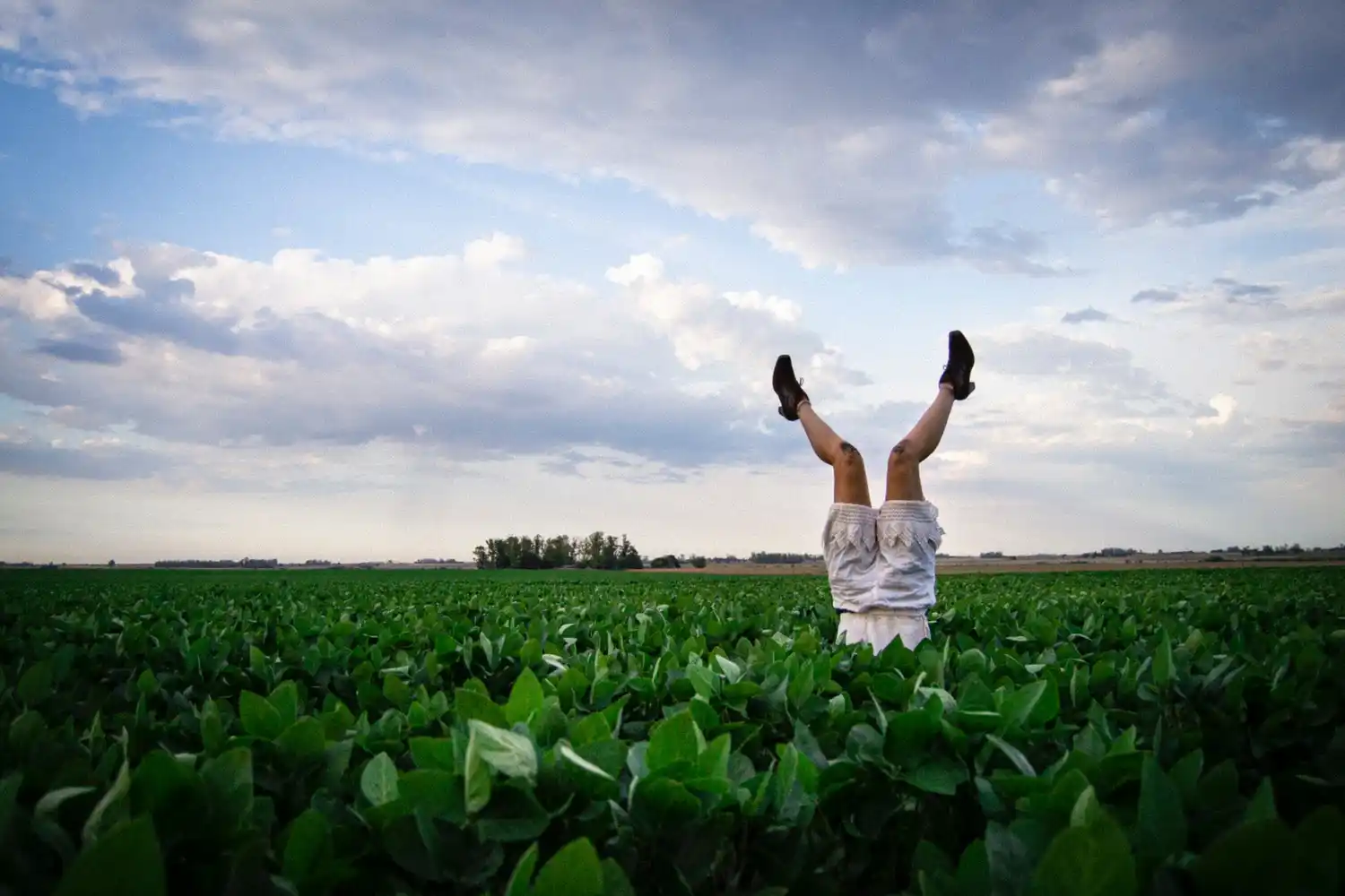 Late Teatro en Pueblo Viejo