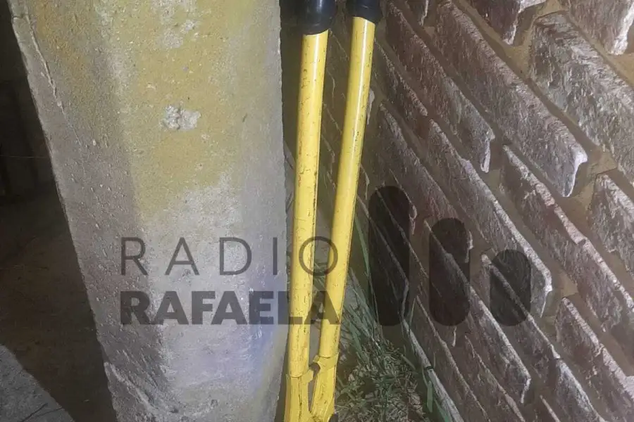 Los cables encontrados