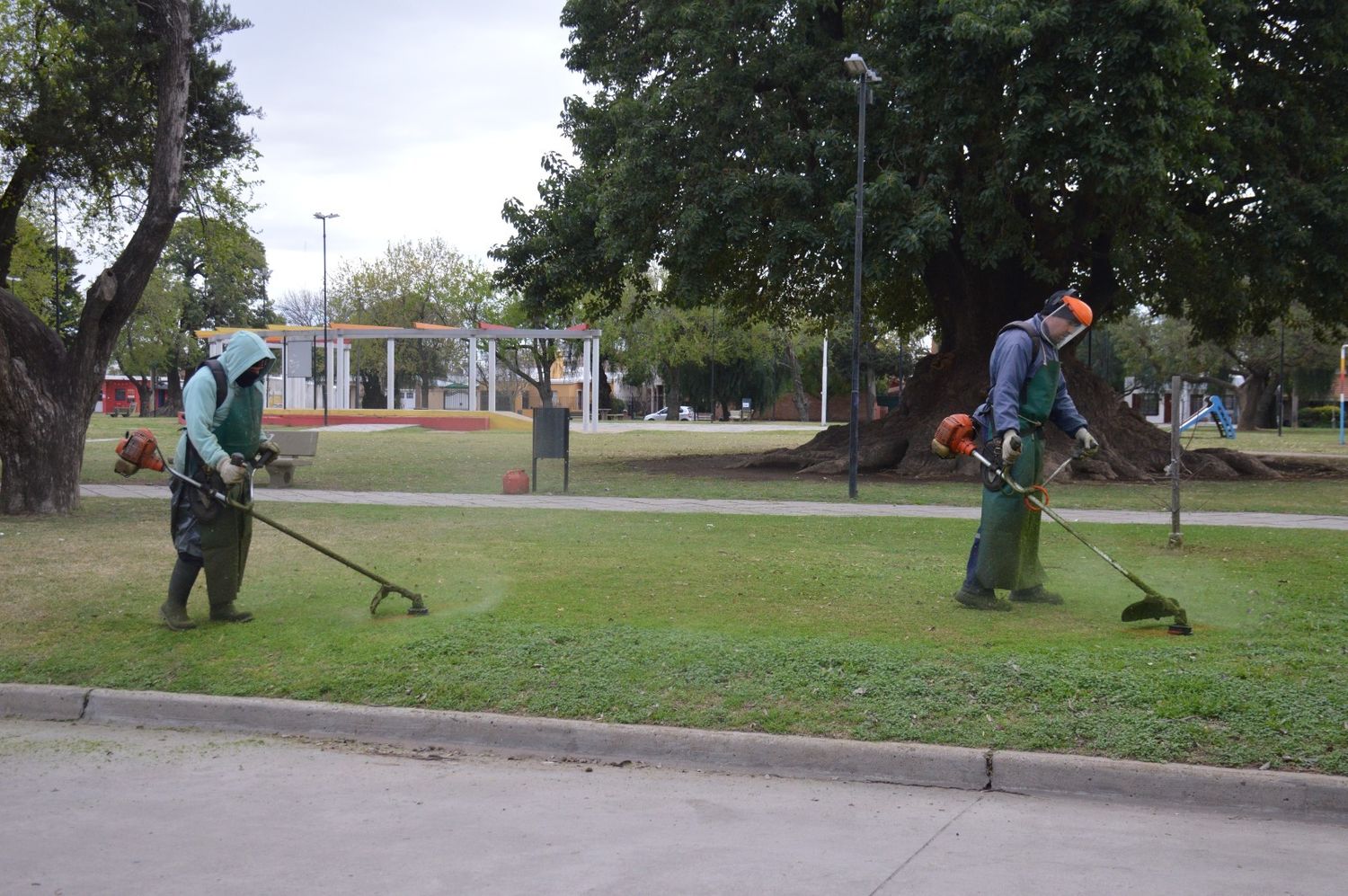 Las cuadrillas municipales trabajan en diferentes plazas, parques y paseos de la ciudad.