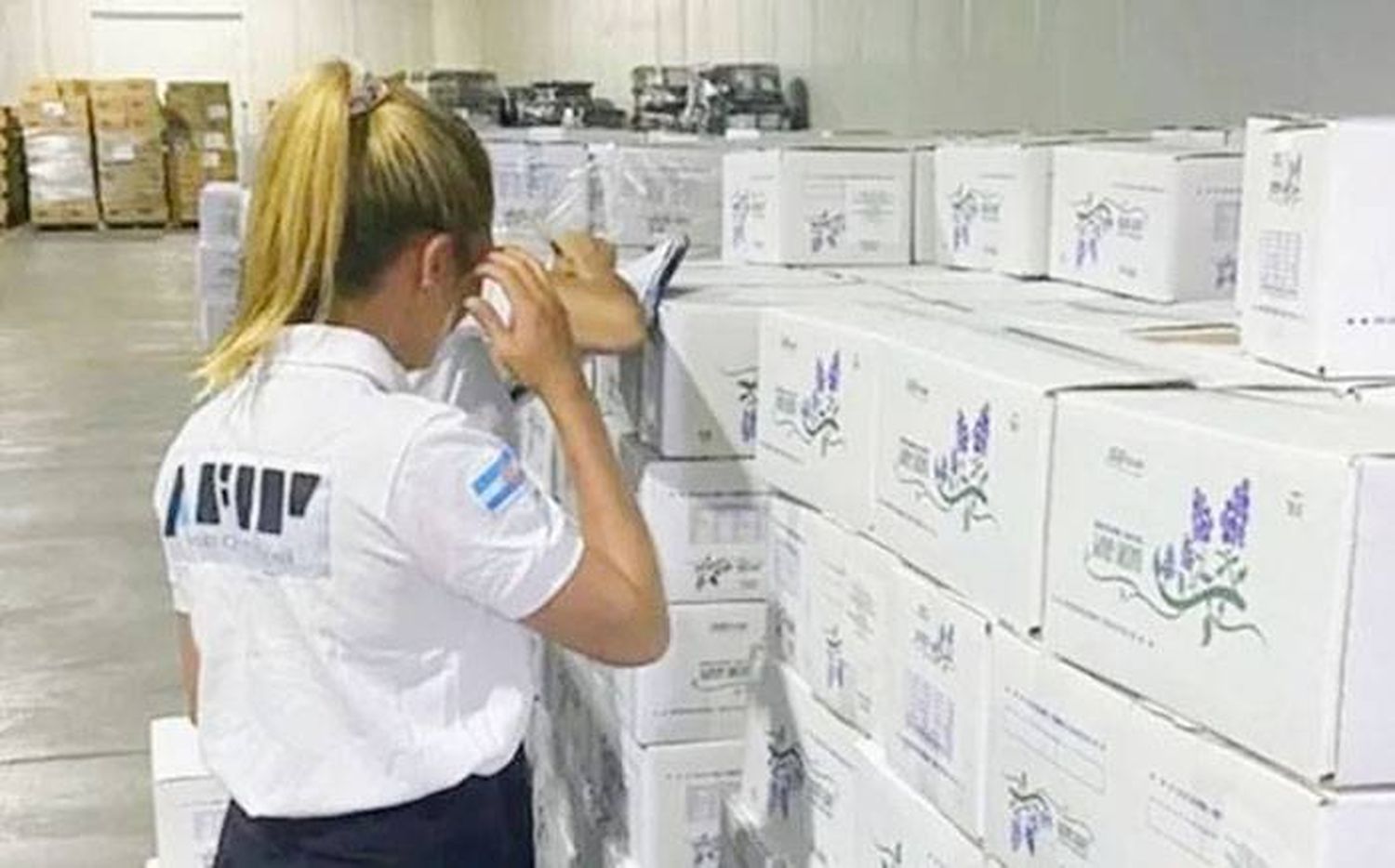 Incautaron 25 toneladas de pasas de uva que iban a ser exportadas a Brasil