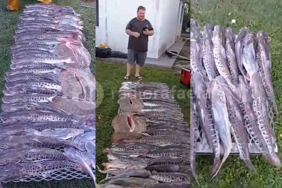 VIDEO | Se hicieron los cancheros por lo que habían pescado y terminaron multados