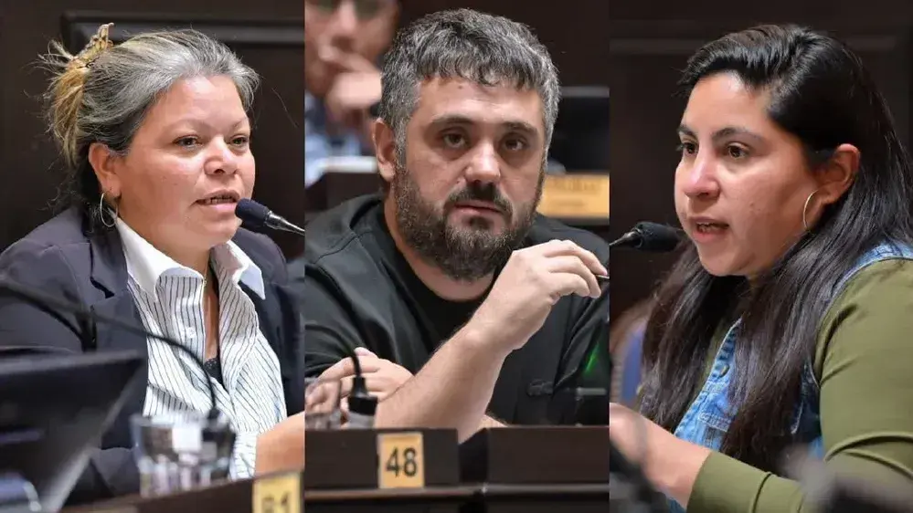 El proyecto de ley fue presentado por los diputados bonaerenses Cintia Romero, Facundo Tignanelli y Noelia Saavedra.