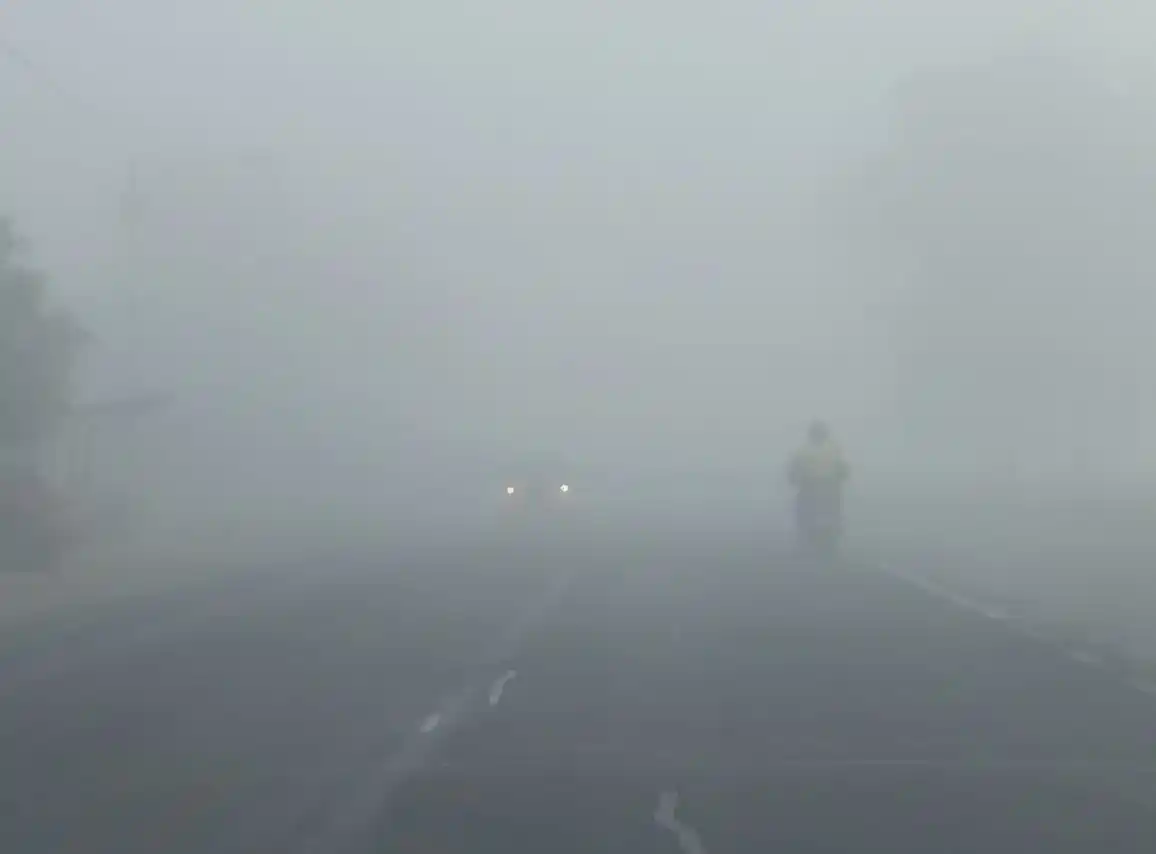 Cierran el complejo Zárate-Brazo Largo por bancos de niebla y humo provocados por incendios: Se registran accidentes