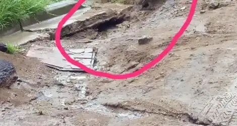 Reporte ciudadano