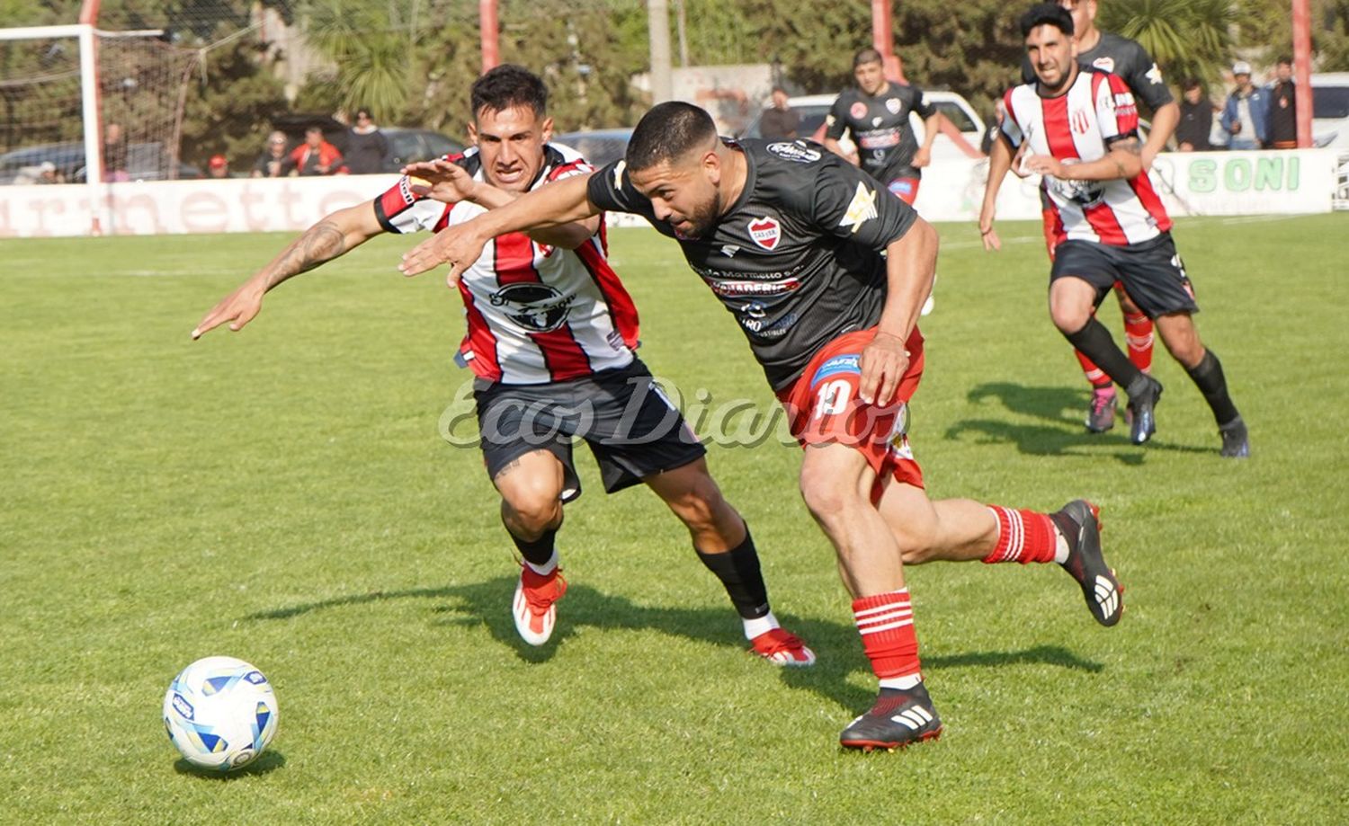 Cruce entre Francisco Pedro (negro) y Mauro García (albirrojo)