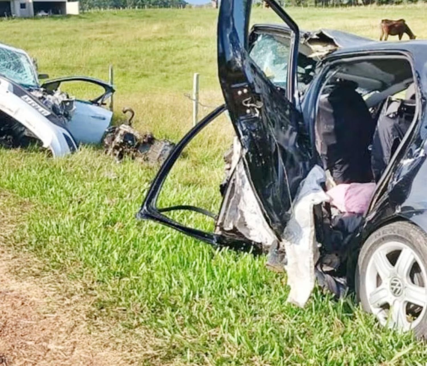 46 personas perdieron la vida en accidentes viales en Entre Ríos en lo que va del año