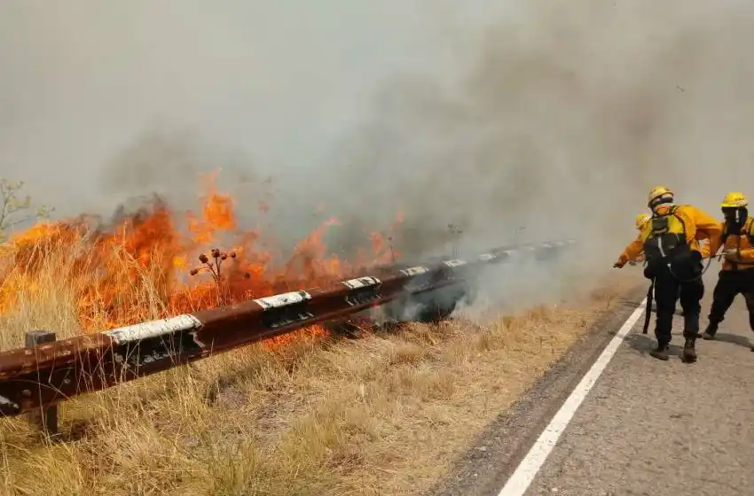 Durante enero, los bomberos locales intervinieron en 341 incendios