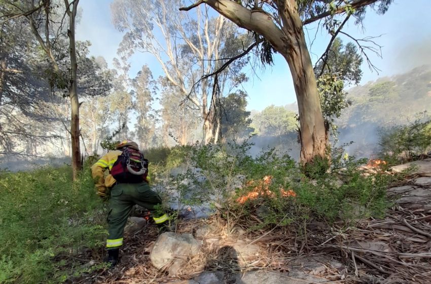 Incendio en Sierra de los Padres: confirman que la situación "está controlada"