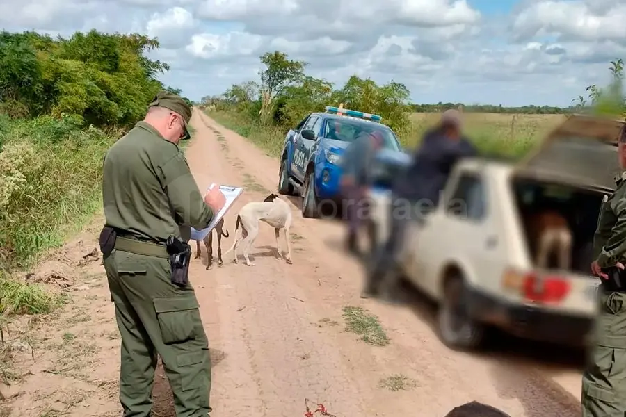 Atraparon a varias personas cazando en la zona rural sin habilitación