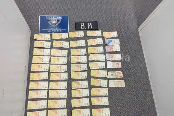 Fueron atrapados y liberados por ser menores de edad: rompieron un auto y robaron una gran cantidad de elementos