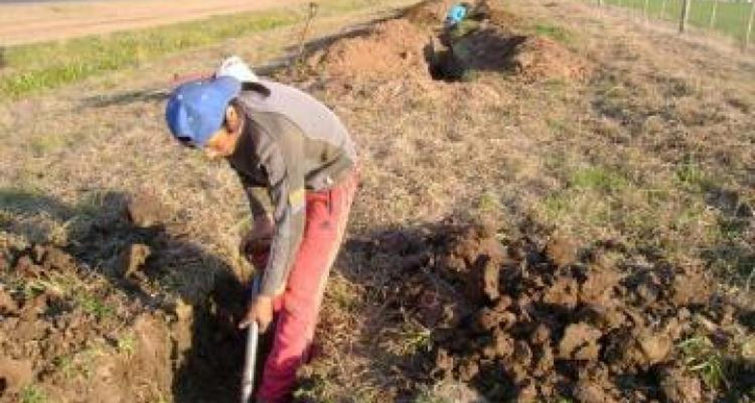 “No somos chorros, estamos trabajando”