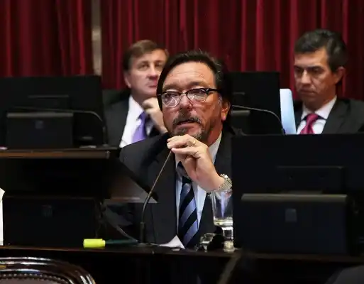 El Senado dio media sanción a un proyecto para incautar bienes del narcotráfico