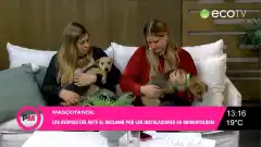 Estado de los caniles: MascoTandil expresó su impotencia ante la respuesta de Bromatología