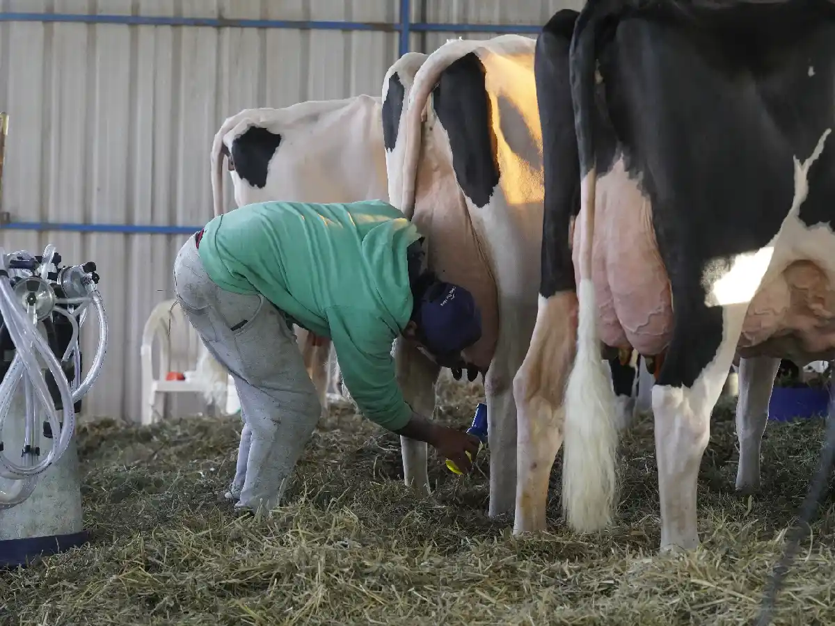 La Rural abre sus puertas a la Expo Ganadera