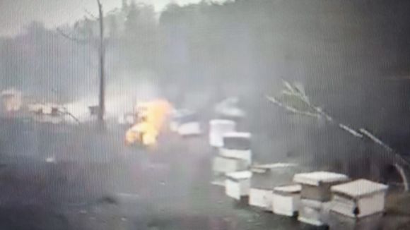 Fuego cruel en las colmenas