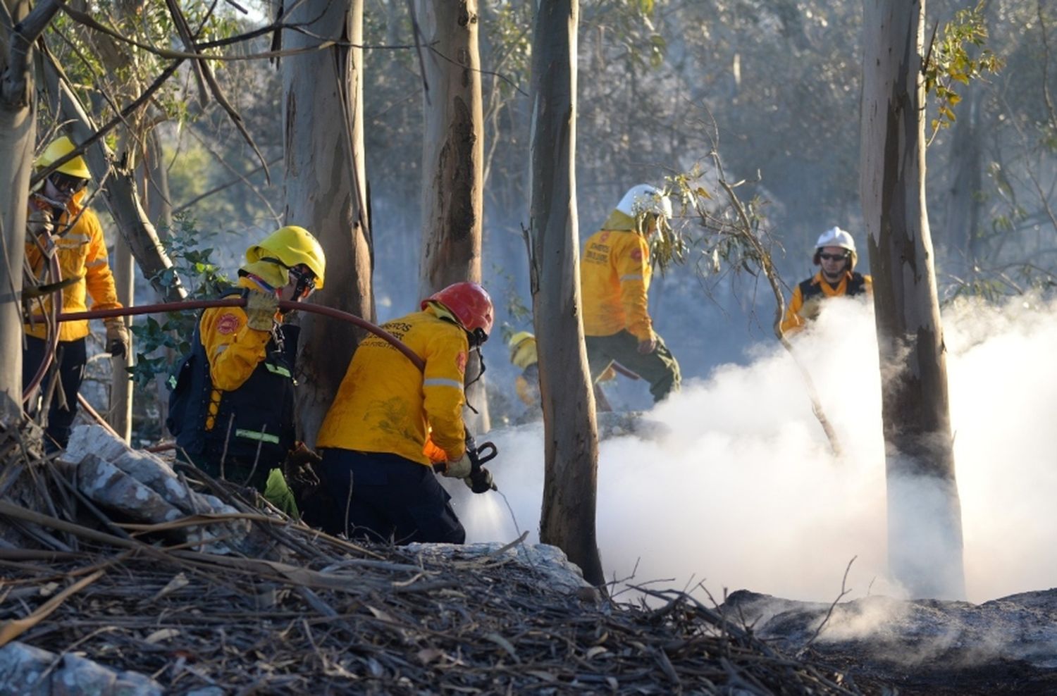 Se controló un incendio forestal  de 70 hectáreas en Sierra de los Padres