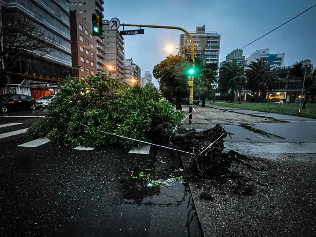 En Mar del Plata, las autoridades dispusieron la suspensión de las clases de los turnos tarde y vespertino en escuelas municipales y provinciales de todos los niveles.