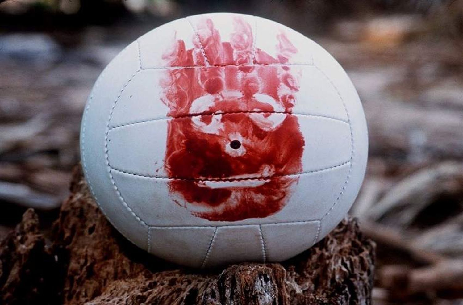 Subastaron a «Wilson», el fiel compañero de Tom Hanks en «Náufrago»: en cuánto vendieron la icónica pelota