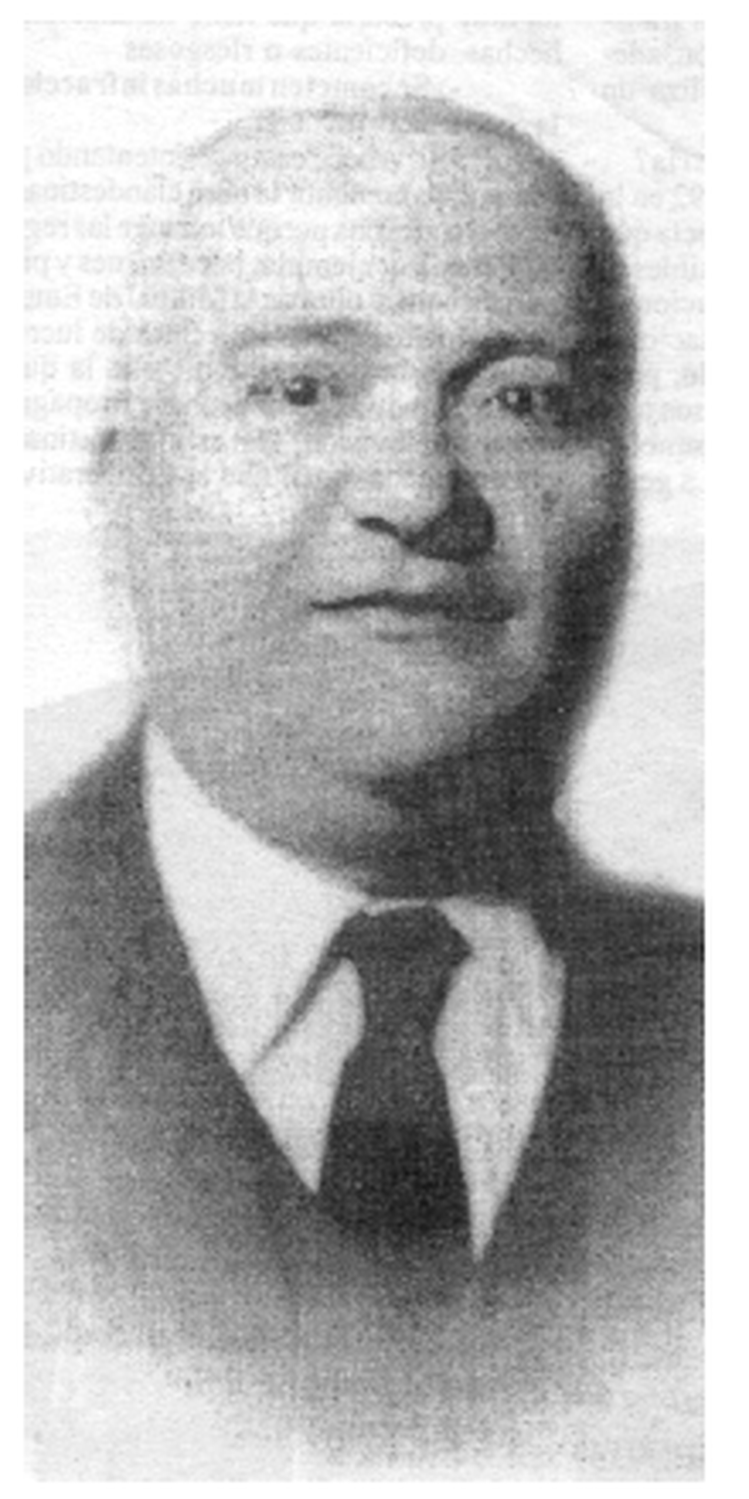 El origen de los Torrebruno