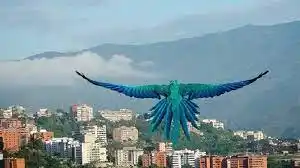 ¡LAS GUACAMAYAS! Alegría y colores en el cielo de Caracas